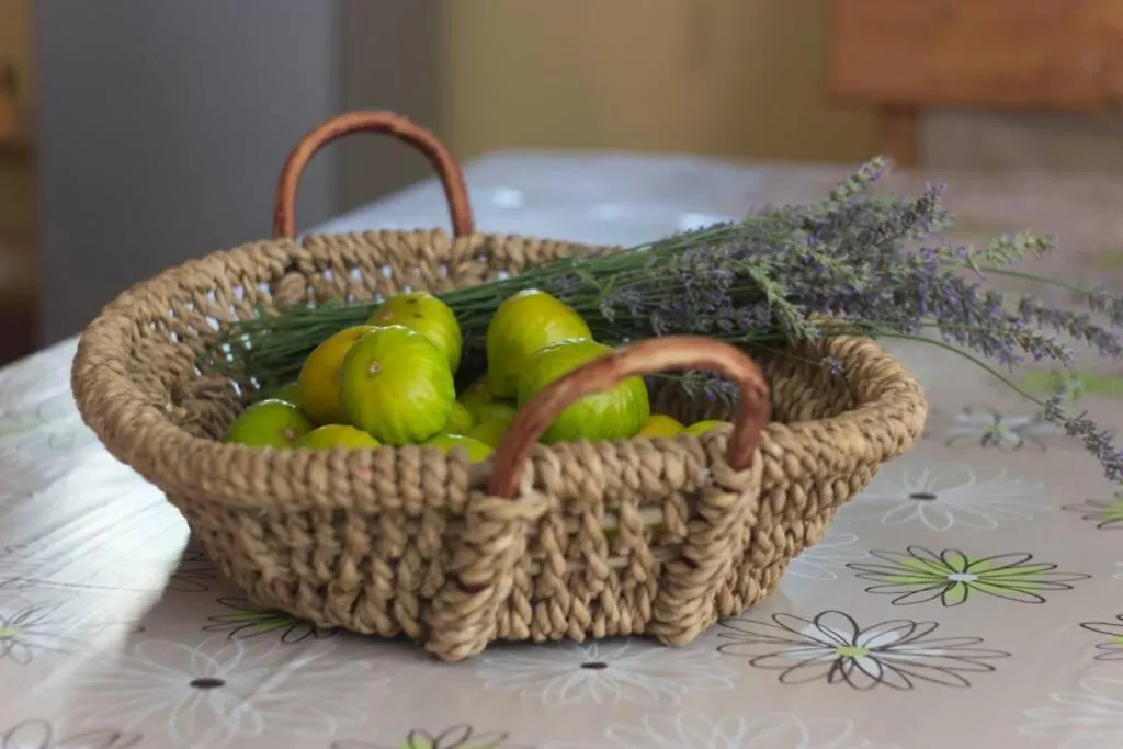 Zelena Kuca- Green House Ližnjan